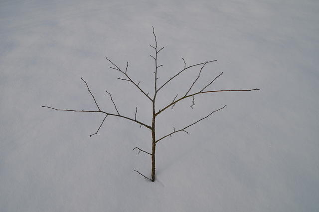 DSC_0199.JPG