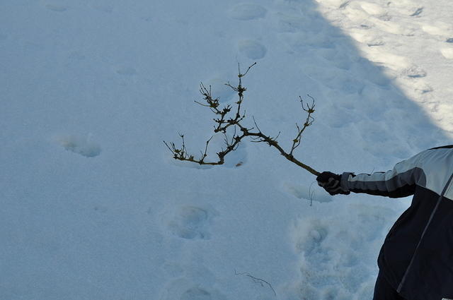 DSC_0393.JPG