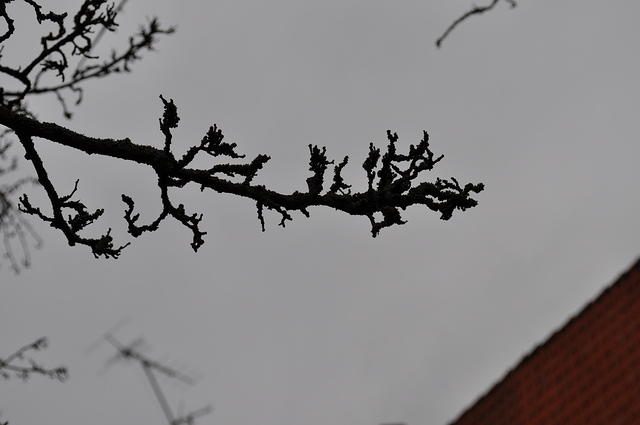 DSC_2023.JPG