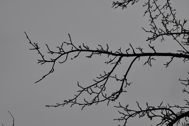 DSC_2035.JPG