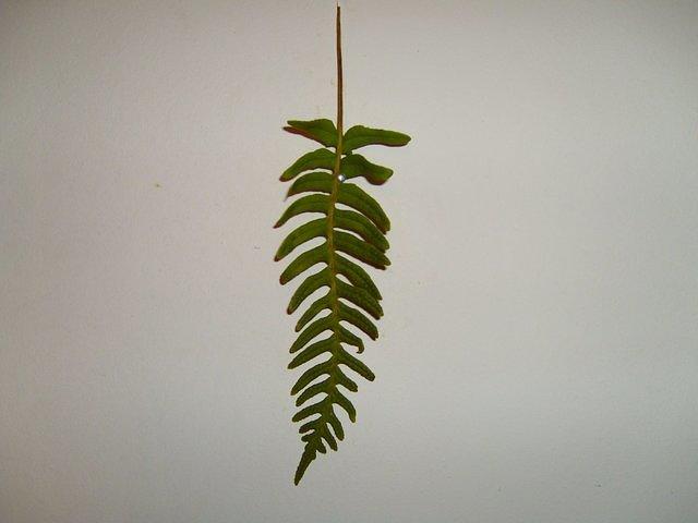 TT7030038.JPG