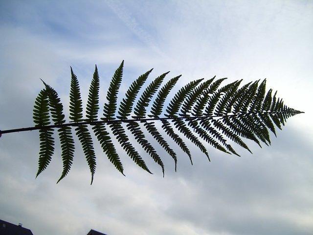TT7040061.JPG