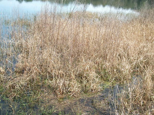 DSCF0619.JPG