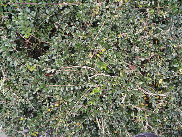 P1170599