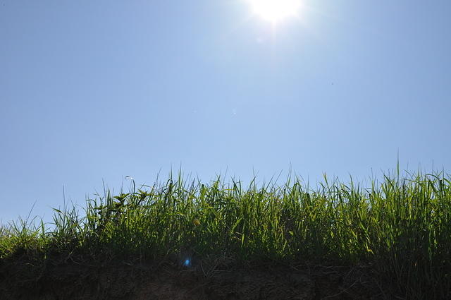 TT1_0144.JPG