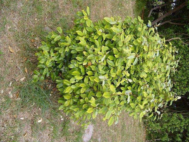 TT7001795.JPG