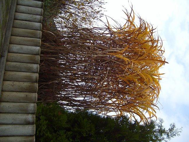 TT7040561.JPG