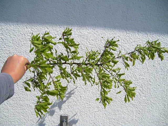 TT7001097.JPG