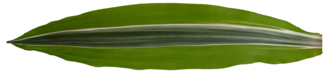 TT70200484.PNG