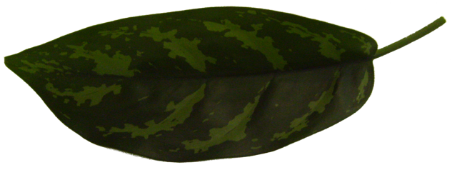 TT70200503.PNG