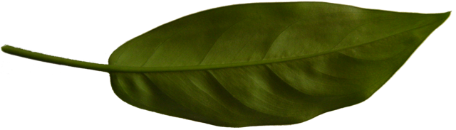 TT70200508.PNG
