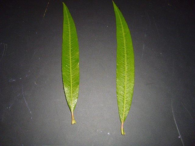 TT7020778.JPG