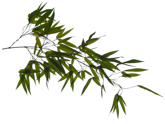 TT7040344.PNG