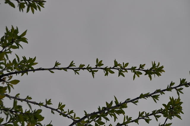TT_0549.JPG