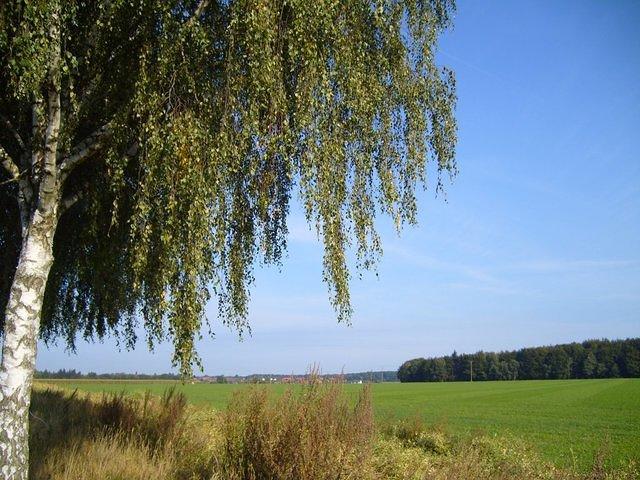 TT000021.JPG