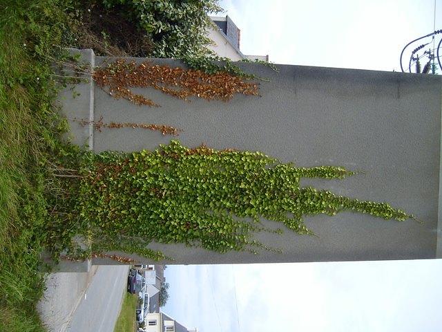TT7002091.JPG
