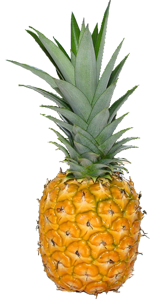 pineapple