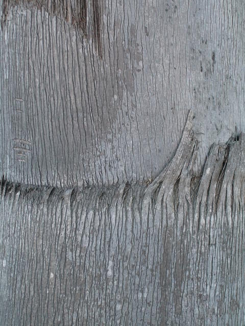 DSCF0281.JPG