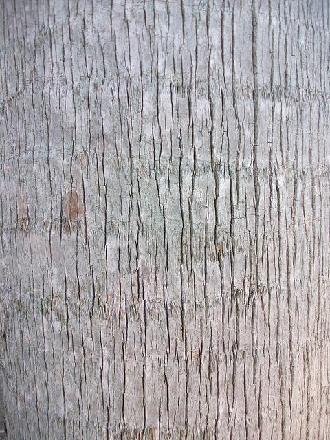 DSCF0321.JPG