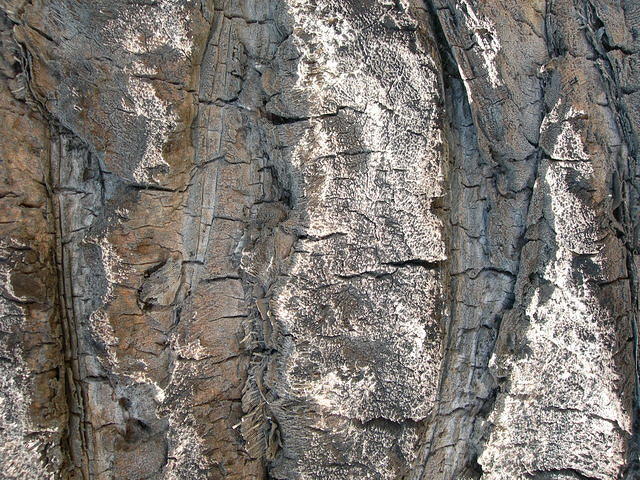 DSCN7503.JPG