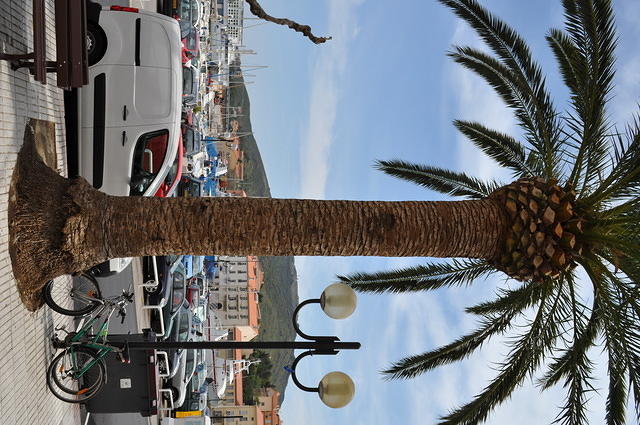 TT1_0183.JPG