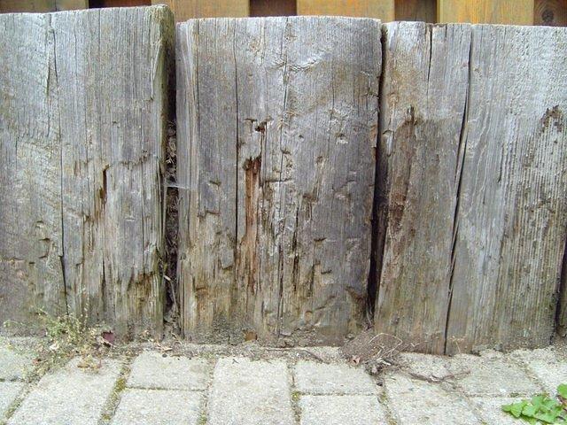 old_wood_TT7010110.JPG