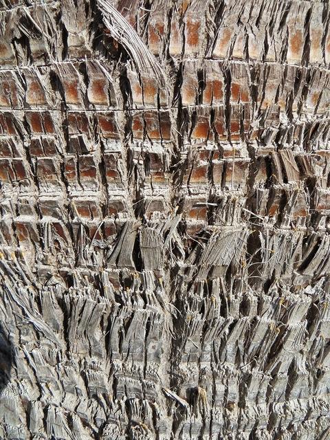 wood-455133