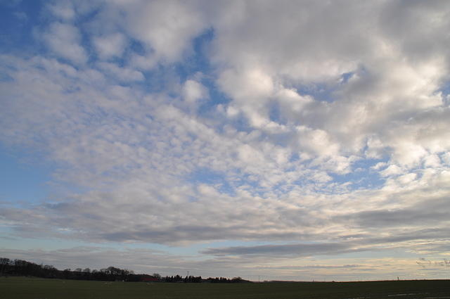 DSC_0081.JPG