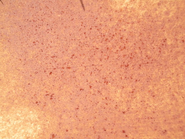 DSCF0562.JPG