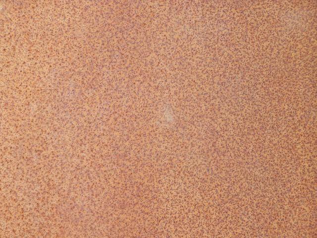 Rusty texture