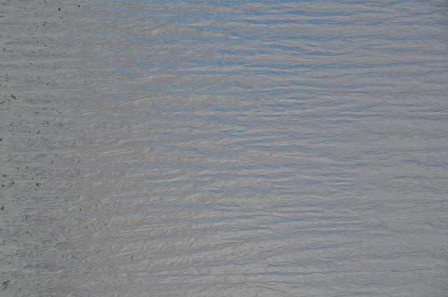 DSC_0078.JPG