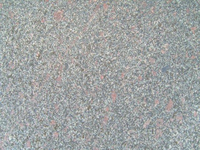 TT7020395.JPG
