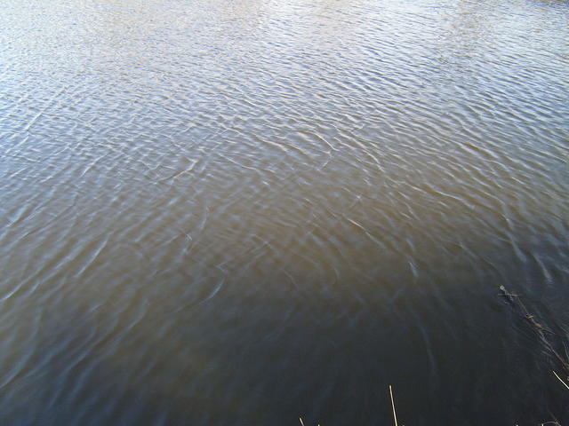 TT7040684.JPG