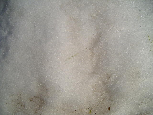 TT7040696.JPG