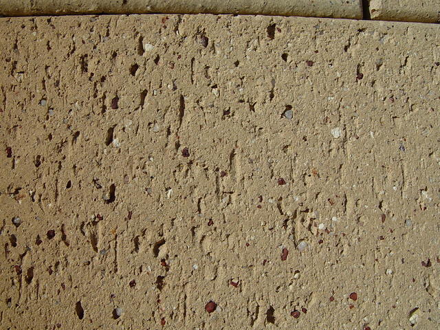 dsc20041018_154041_42