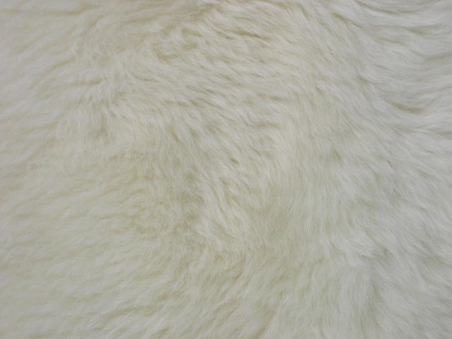 dscn2498