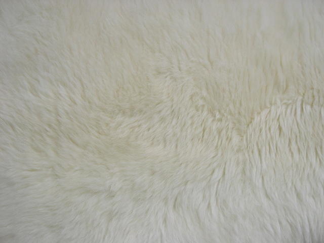 dscn2499