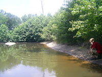 Boy throws stick in pond