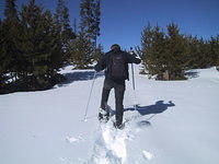 snowshoeing