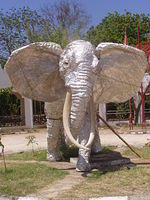 elephant