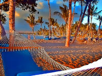 Beach_Hammocks