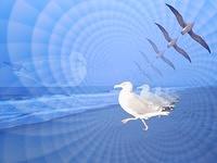 Seagulls SciFi