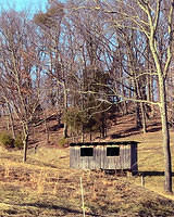 Abandoned Chicken Coop