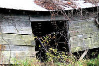 Broken Farm Shed