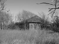 Forgotten_Homestead_Bill_Jacobus