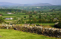 Old_Kilcullen_Looking_towards_DublinWicklowMountains