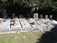 Chinese Graves, Karori Cemetery, Wellington, New Zealand