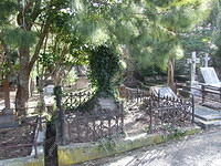 Overgrown Grave, Karori Cemetery, Wellington, New Zealand