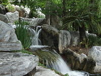 Stream, Chinese Gardens, Sydney, Australia