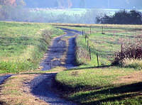 Country Lane